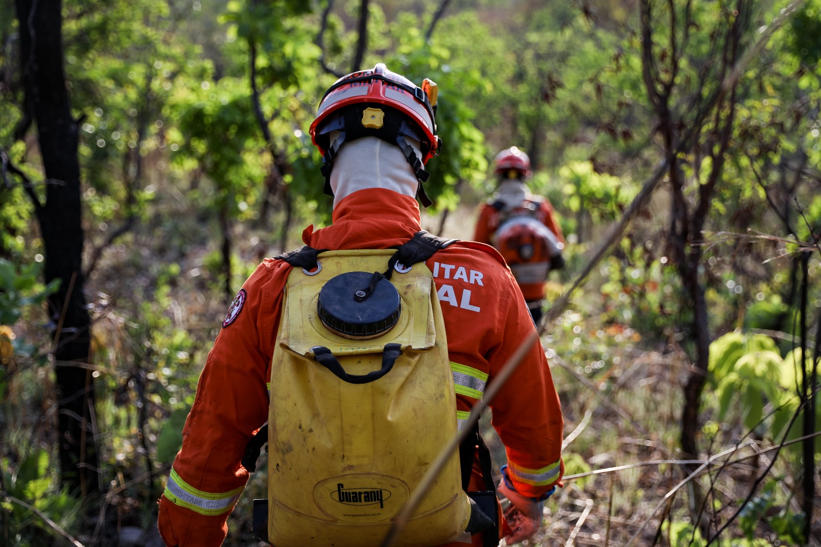Bombeiros de MT combatem inc�ndio florestal na Estrada da Guia