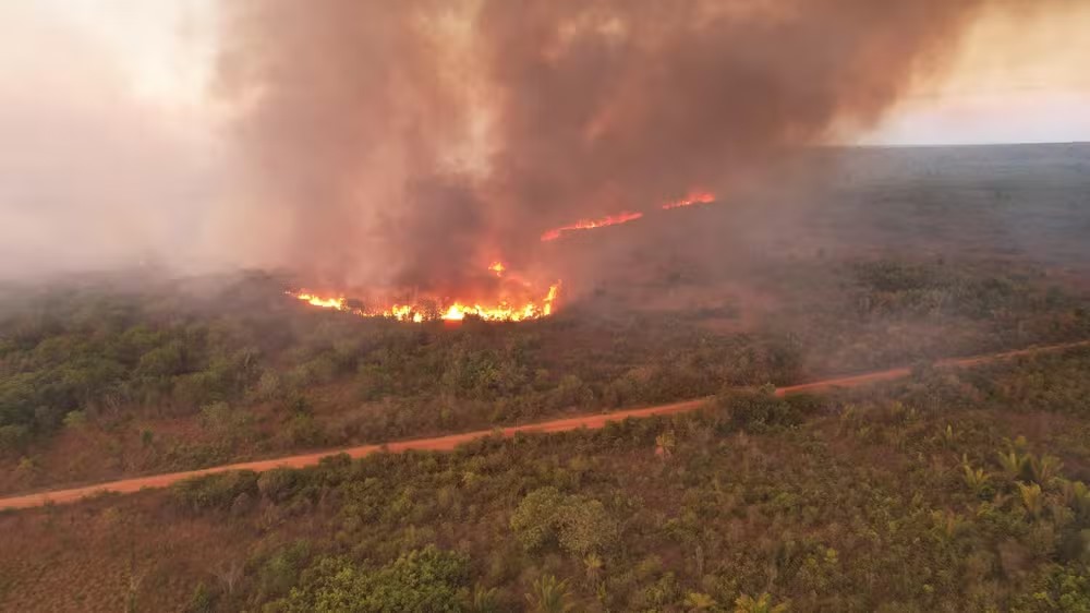 regi�o da Terra Ind�gena CapotoJarina, em�Peixoto de Azevedo