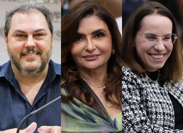 Wesley Sanchez Lacerda, Eunice Helena Rodrigues de Barros e Ana Luiza Avilla Peterlini de Souza