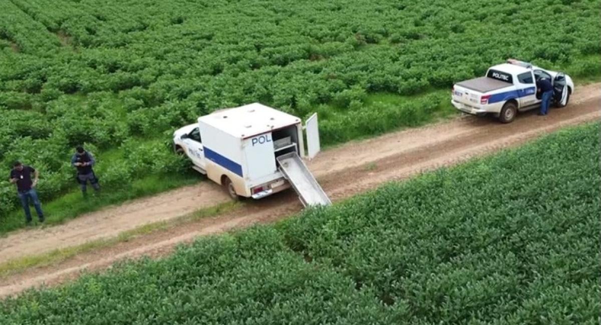 CORPO ENCONTRADO EM PLANTAÇÃO DE SOJA