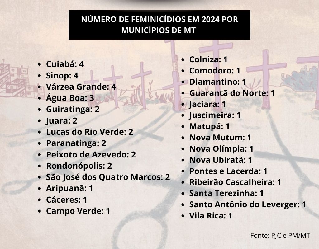 Feminic�dios em 2024 por munic�pios