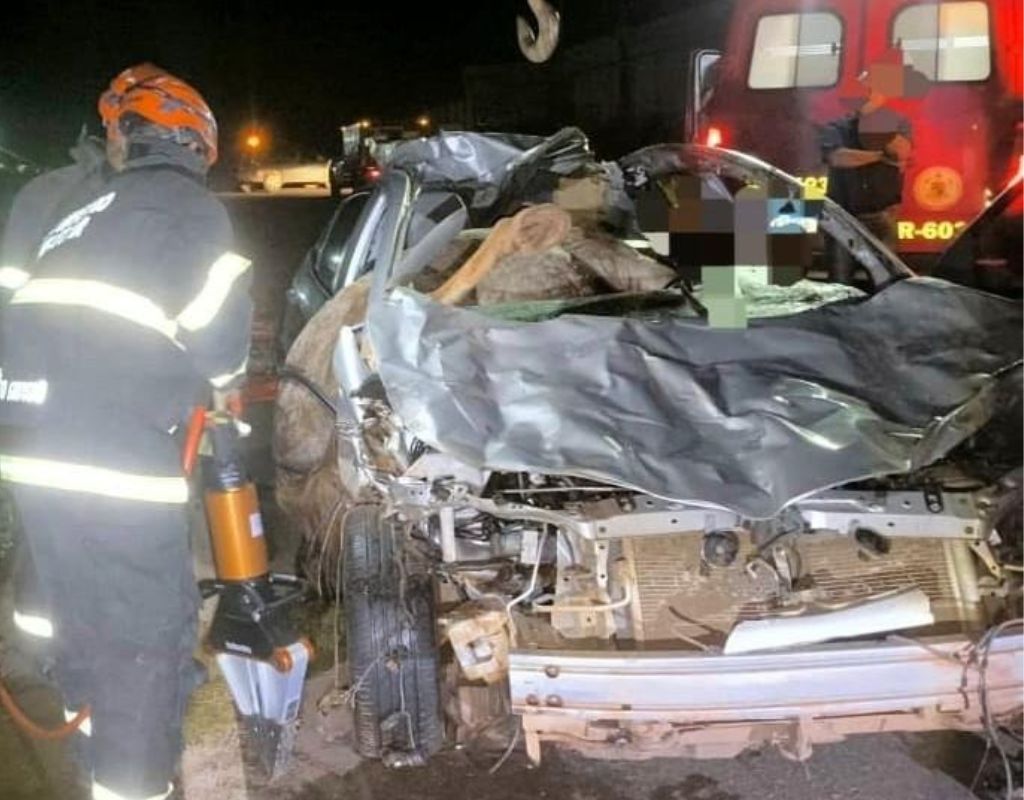 Motorista de Corolla mata cavalos atropelados e morre em acidente