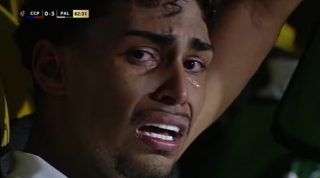 Luighi, do Palmeiras