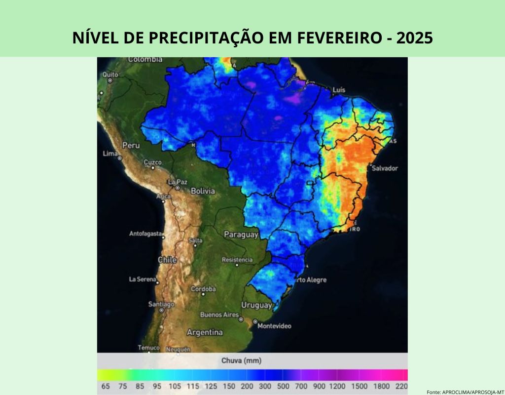 CHUVA EM FEVEREIRO