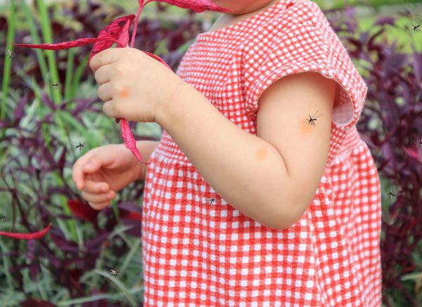 dengue, mosquito, crian�a, sequelas