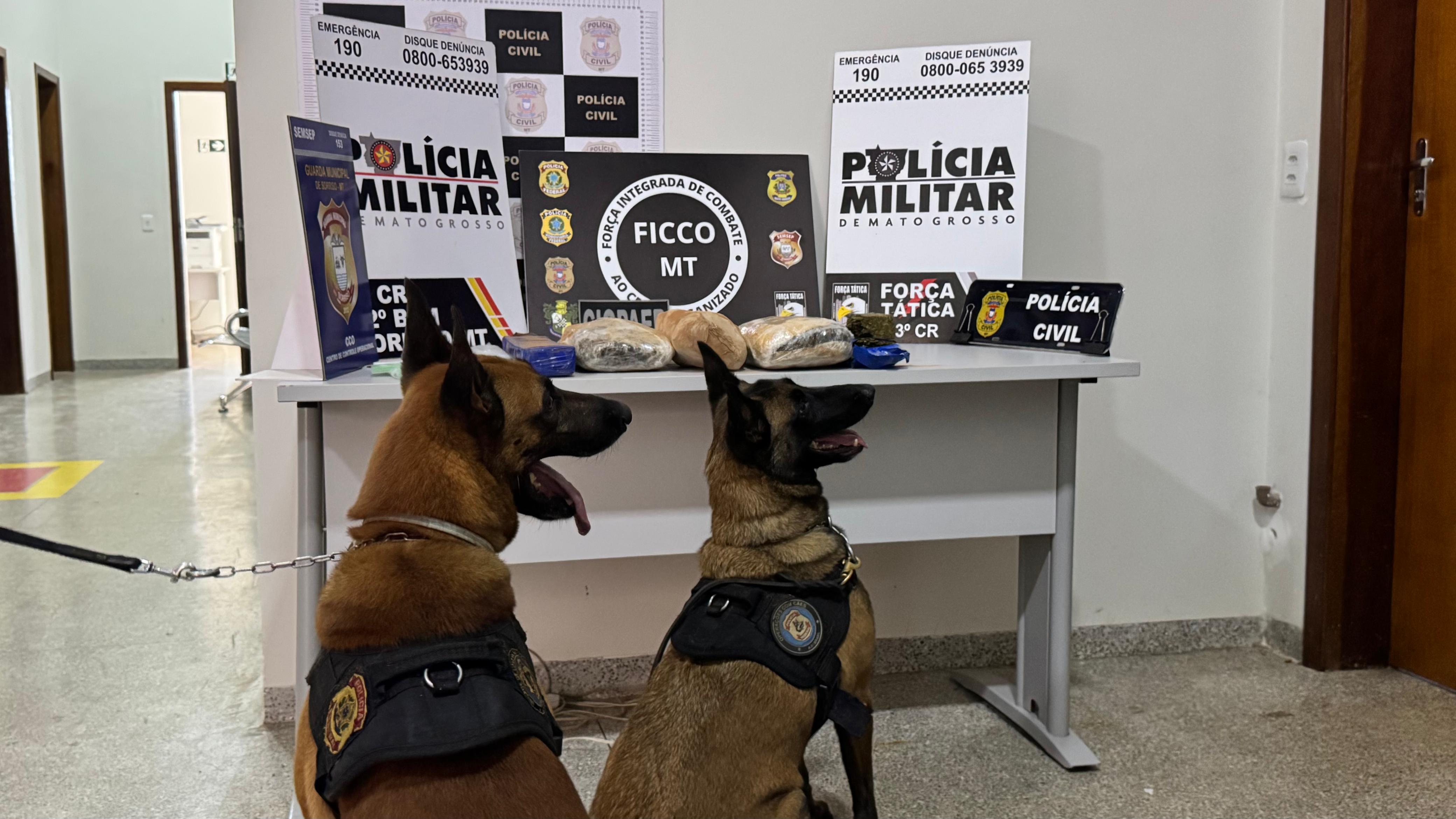 operacao asfixia