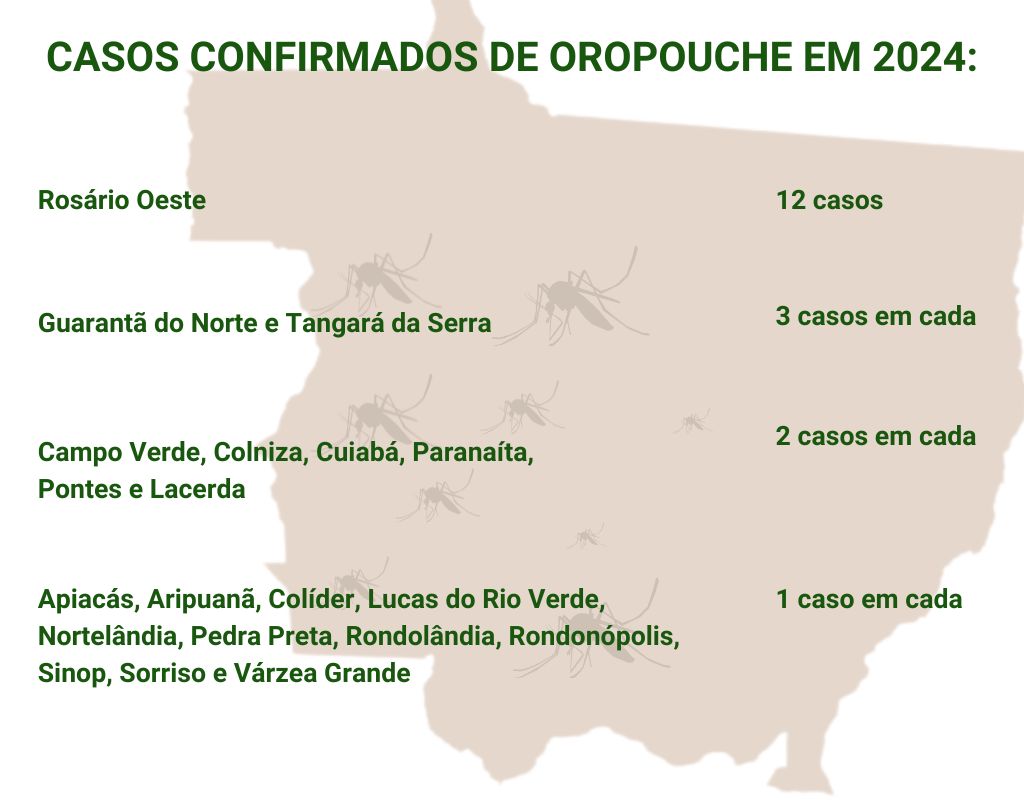 Casos confirmados de Oropouche em MT em 2024