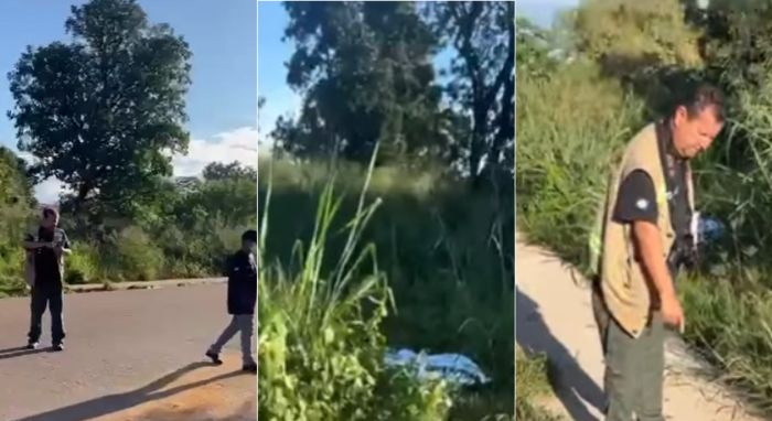 Idoso, atropelamento, Parque Universit�rio, Rondon�polis