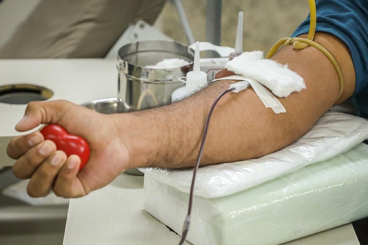 Doa&ccedil;&atilde;o de sangue Hemocentro