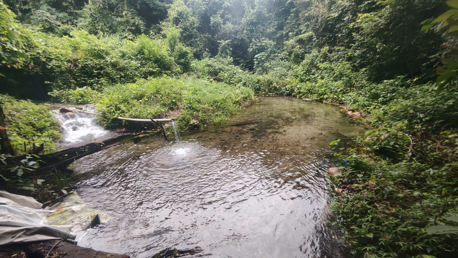 represa, flor da serra, parque estadual, gruta azul, nobres, vereador, arquimedes