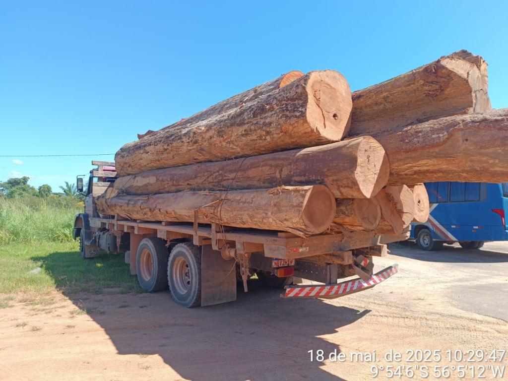 Caminh�o carregado de madeira ilegal � apreendido em Alta Floresta