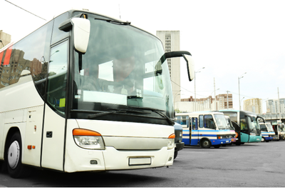 �NIBUS TRANSPORTE