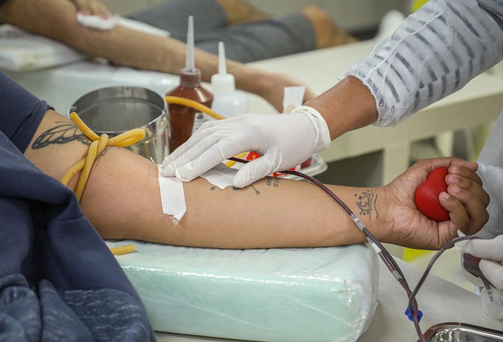 Doa��o de Sangue
