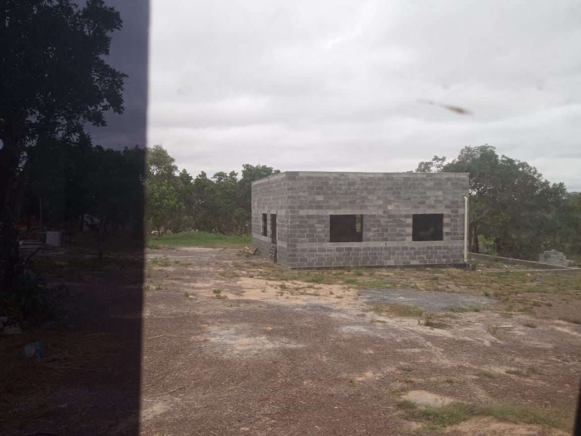 Fam�lias invasoras no Contorno Leste