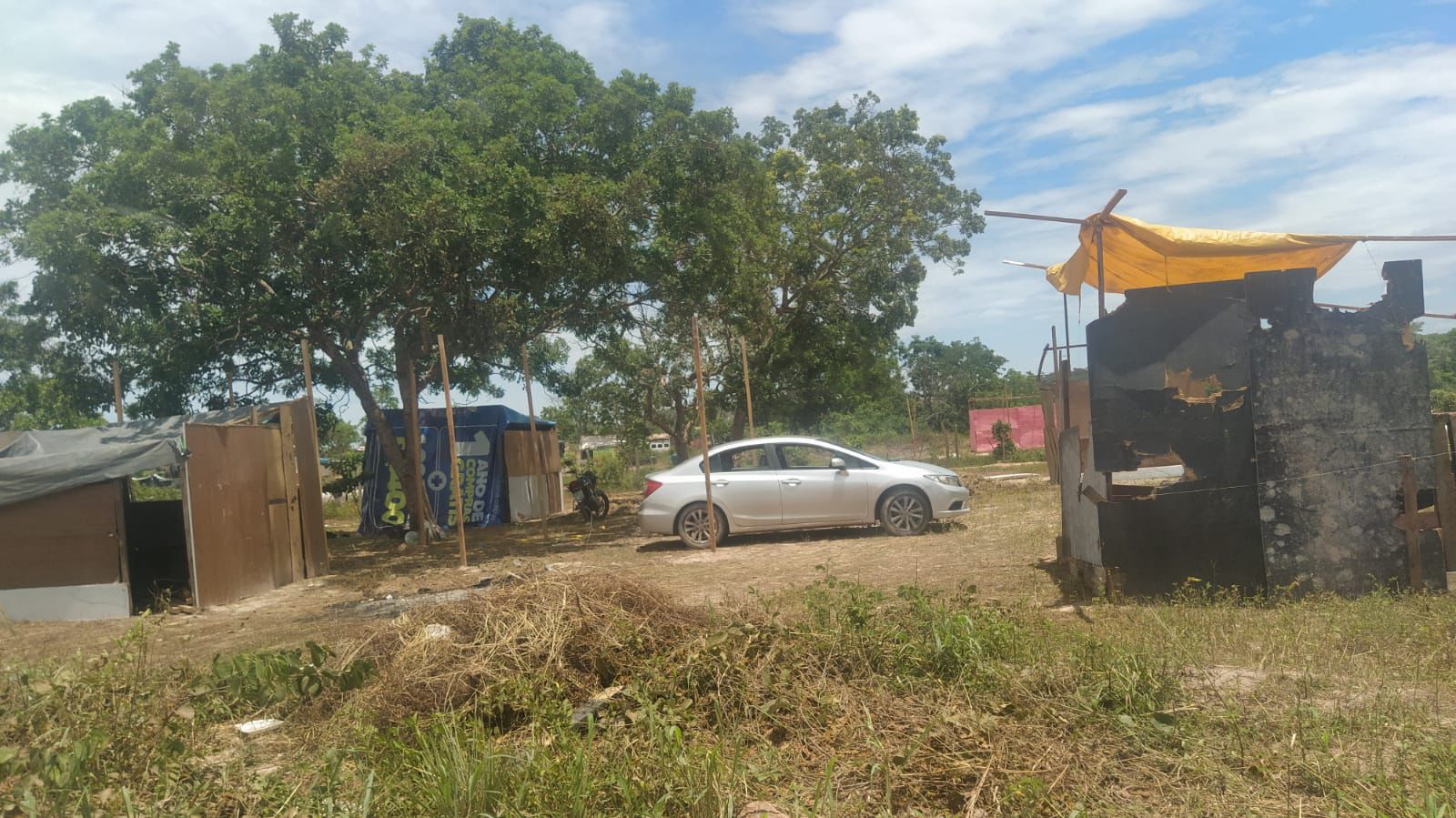 Fam&iuml;&iquest;&frac12;lias invasoras no Contorno Leste
