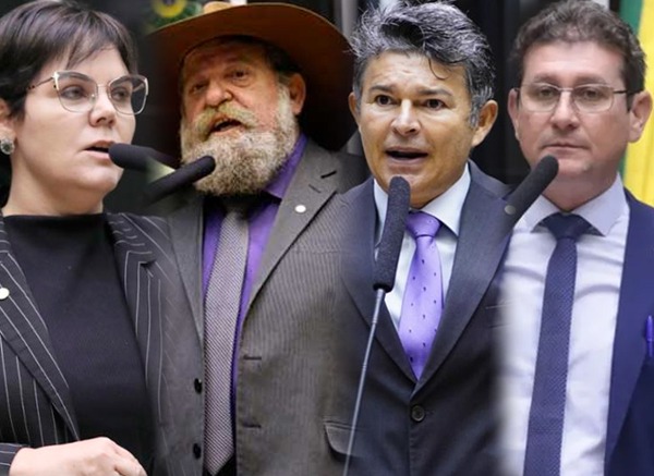 coronel fernanda nelson barbudo jose medeiros e rodrigo da zaeli bancada do PL