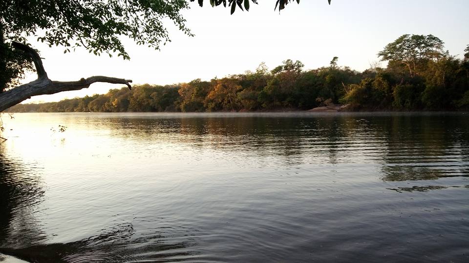 Rio Pinda�ba, cocalinho