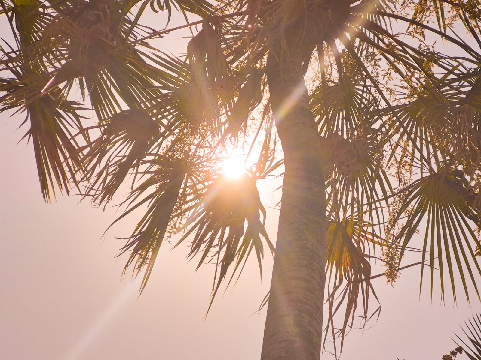 Calor em Cuiab� - sol - calor�o