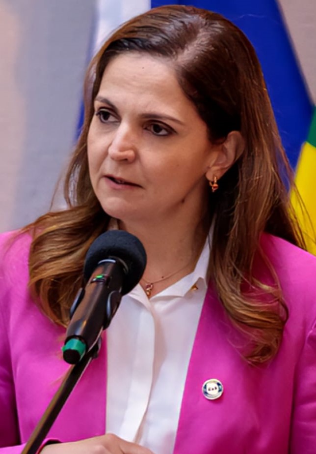 Gisela Cardoso � presidente da OAB-MT artigo