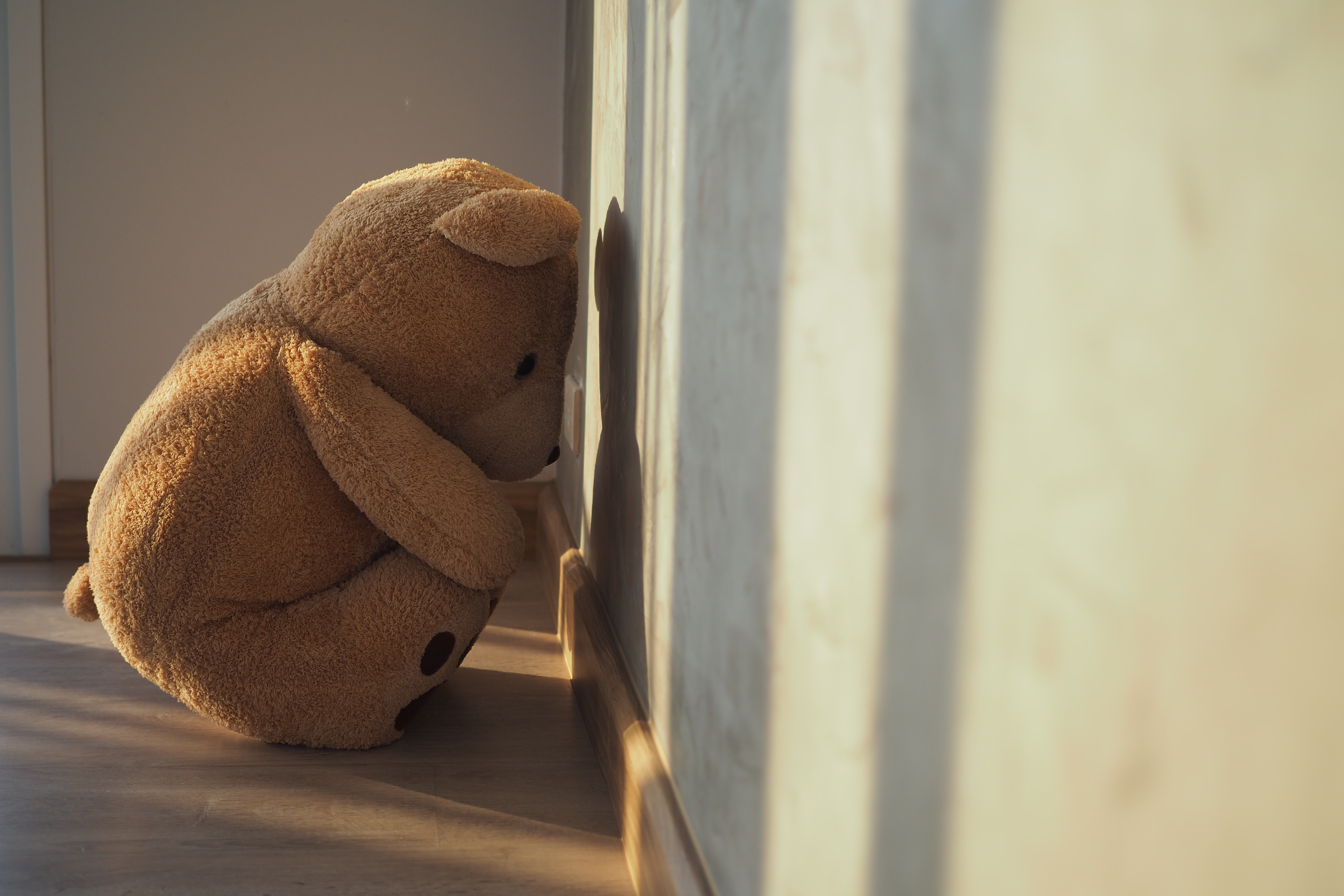 URSO TRISTE