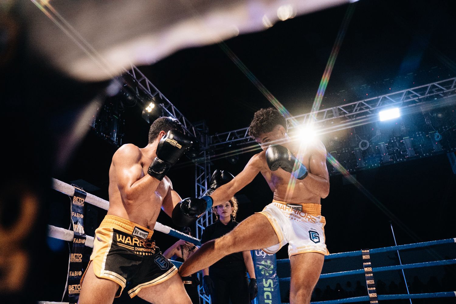 Kickboxing profissional