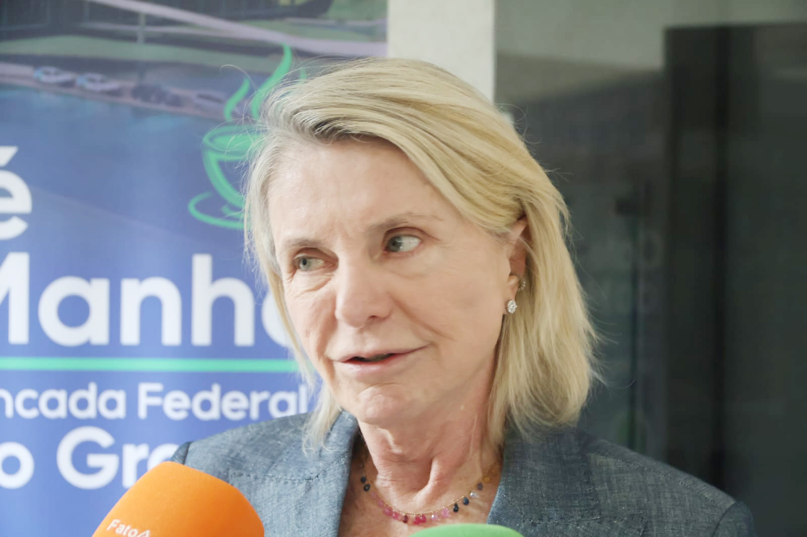 senadora Margareth Buzetti 