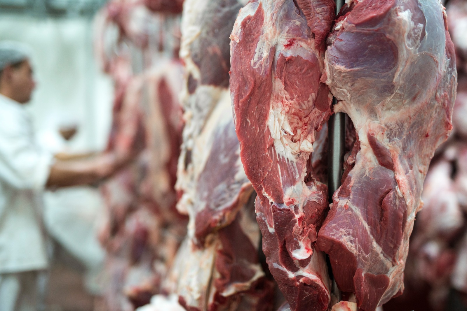 Carne bovina - venda - exporta��o