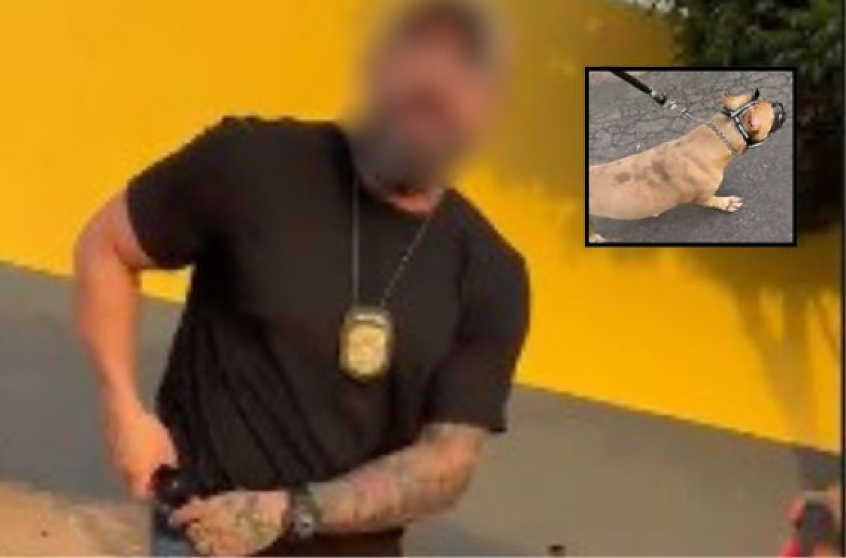 investigador ameaça advogado