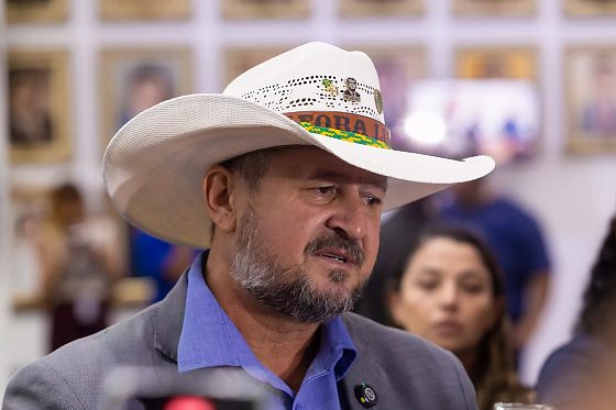 gilberto cattani