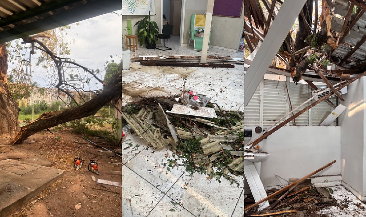 Queda de árvore, USF Lixeira Baú, Cuiabá