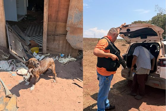 operação guarda rompida jaciara maus-tratos sobrinhos