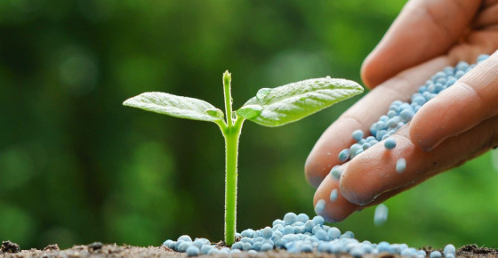  Fertilizantes lavoura de soja fosfato
