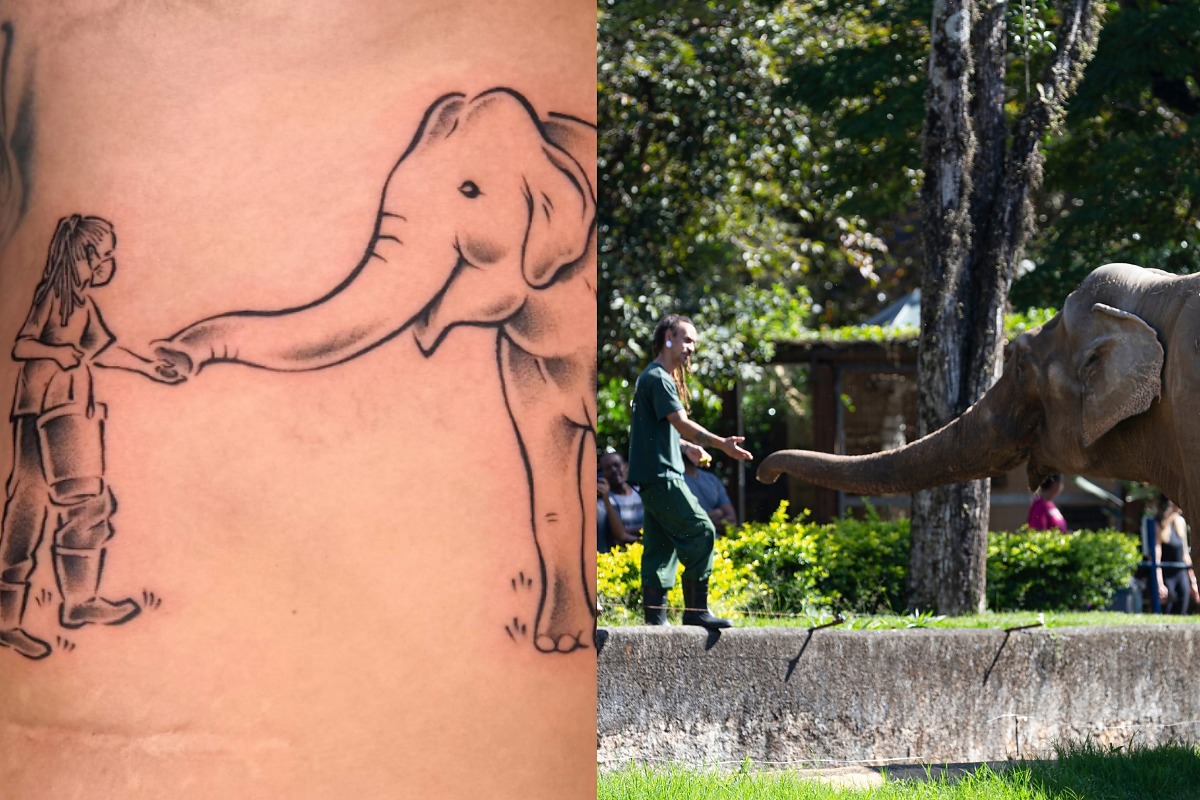 Tratador de zoológico em SP faz tatuagem em homenagem a elefante transferido para MT