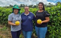 Joice Ferreira, Nasilene Costa dos Santos, maracujá, Boa Esperança do Norte