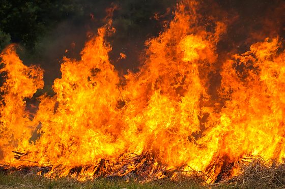 Incêndio em plantação