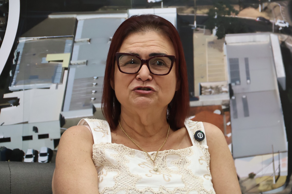rosa neide deputada federal