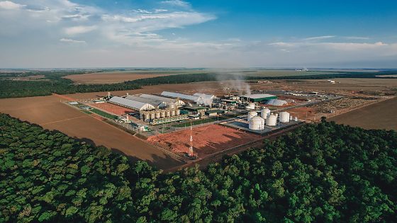 Usina etanol, Mato Grosso
