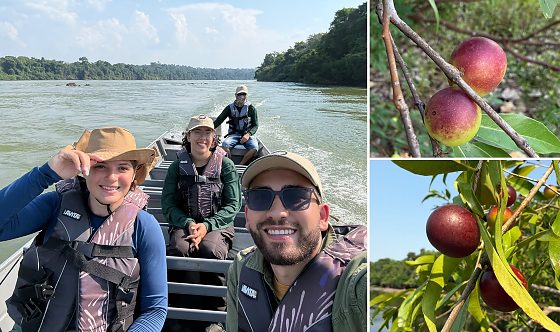 Parente amazônica da jaboticaba e rica em vitamina C - camu-camu