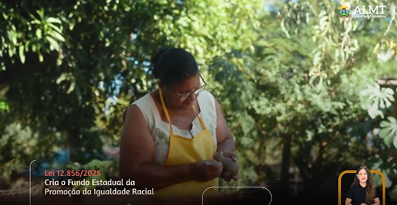 Informe - ALMT - Lei Igualdade Racial