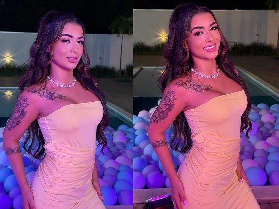 influencer aryadna cristina - operação rede oculta