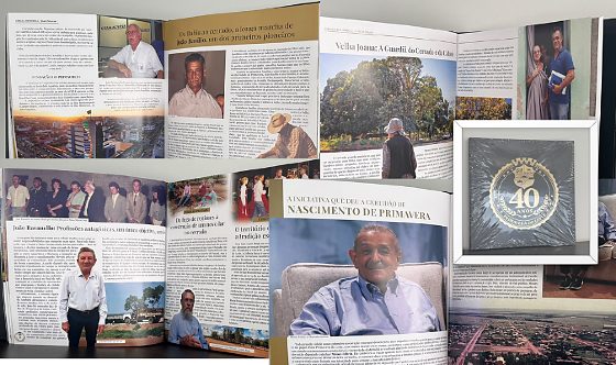 Primavera do Leste livro